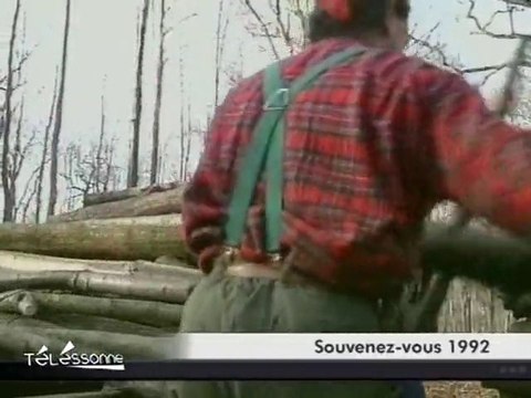 Souvenez-vous : Debardage àcheval dans la forêt