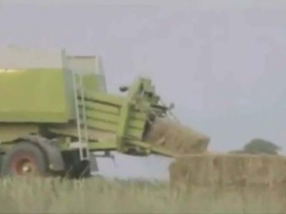 sexy acriculture