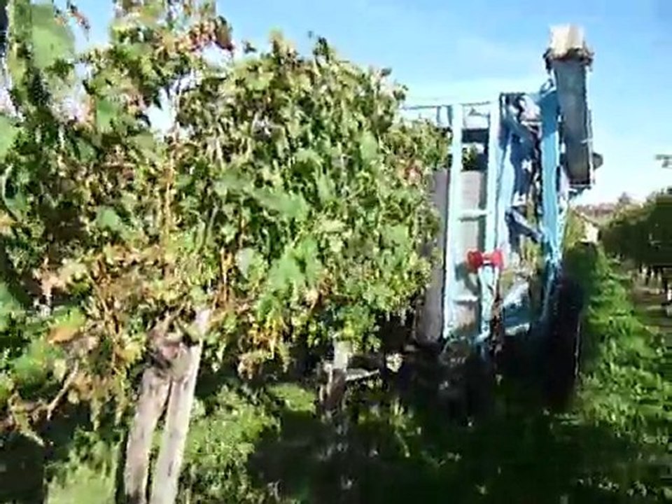 1. VENDANGES MECANIQUES ... HABAS (landes)