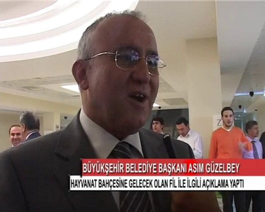 1---ASIM GÜZELBEY fil