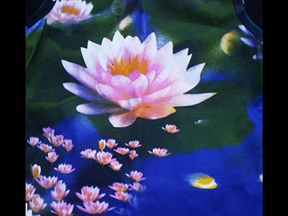 Dead Can Dance : The Lotus Eater