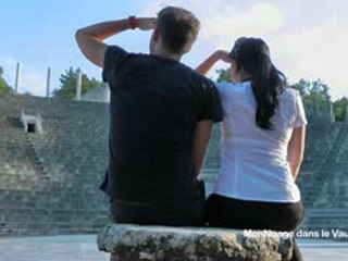 Vendanges dans le Vaucluse