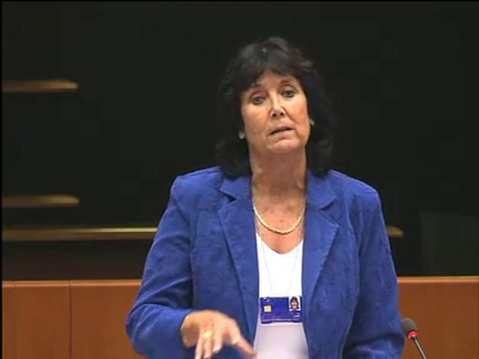 Elizabeth Lynne on Social provisions of the Lisbon Treaty