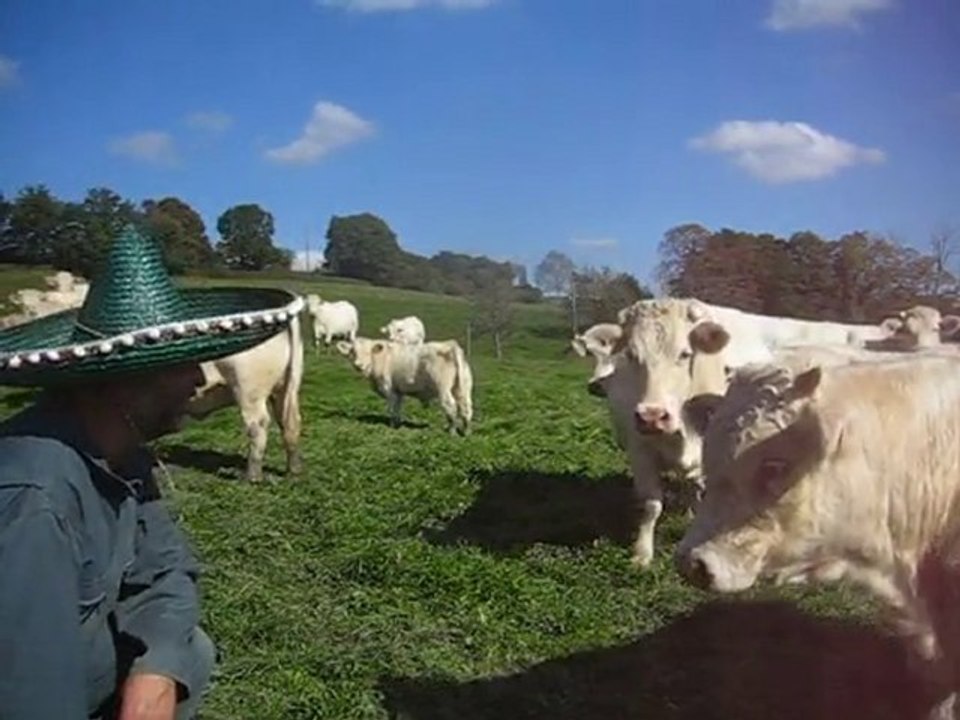 Mexico en Morvan