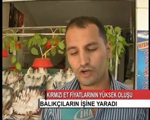 12-BALIKLAR