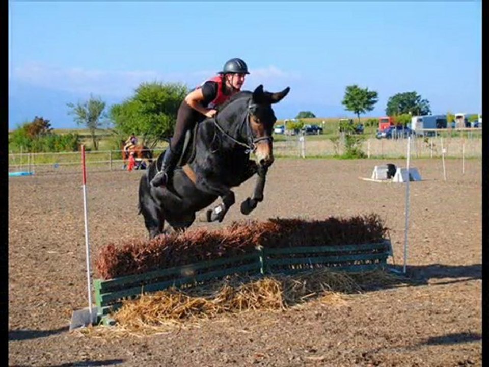 trec bernex