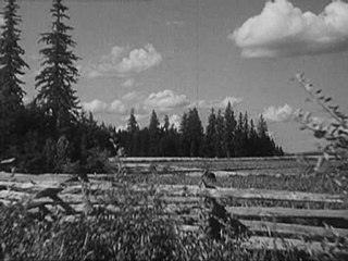 La drôle de guerre 39-40