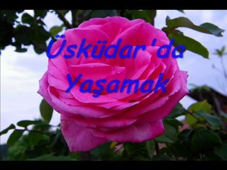 Üsküdar'da Yaşamak