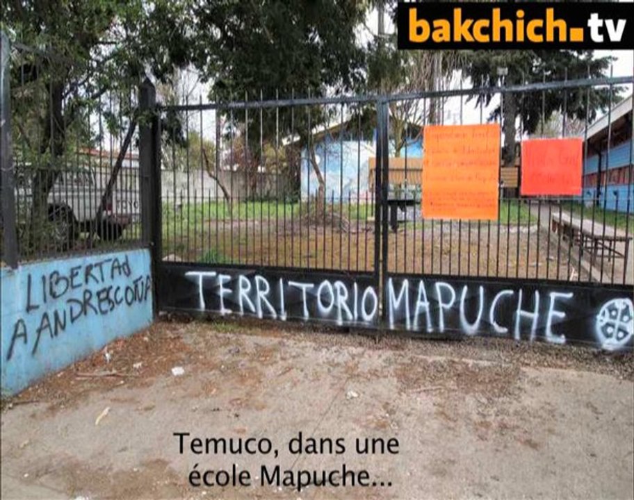 Mapuches