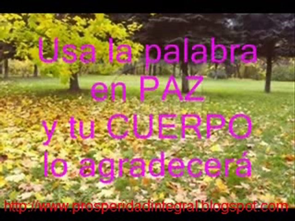 PALABRAS DE EL SECRETO DE LA ATRACCION