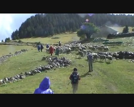 Randos en Diois 2010 Vercors Sud