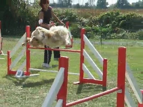 Maybe Jump Cugnaux 3 octobre 2010