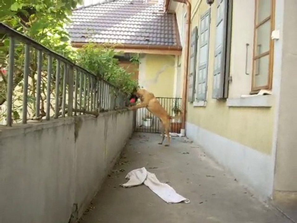 Un apres midi d'octobre