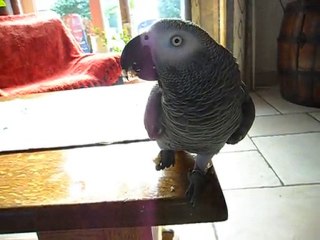 mmmmmmm c'est bon des néfles