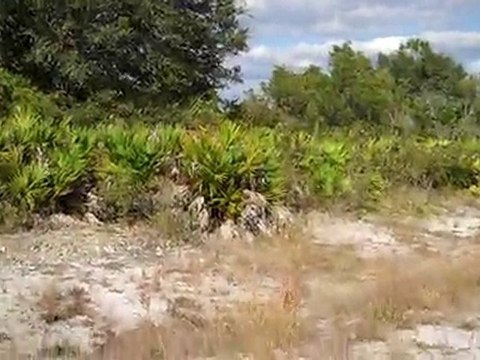 714 Quebec St Lehigh Acres, FL 33972