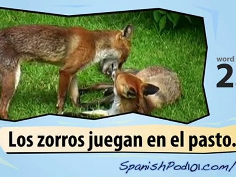 Learn Spanish with Video -- Wild Animals