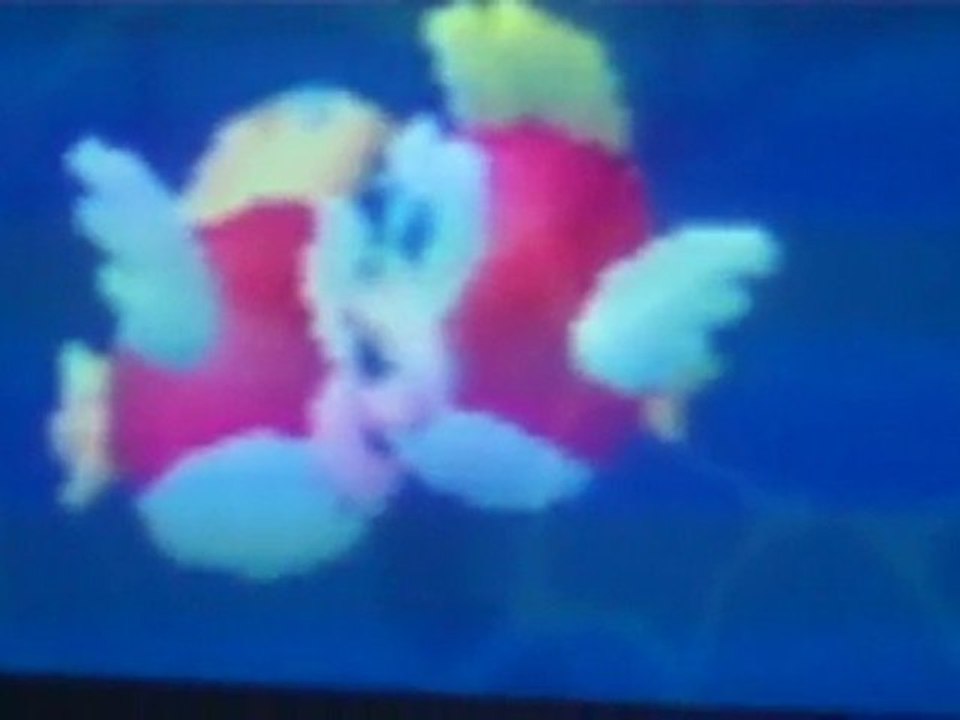 New Super Mario Bros Kissing Fish!