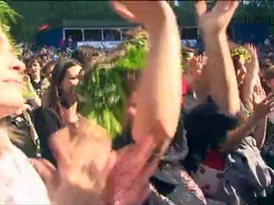 Дикая мята" 2010