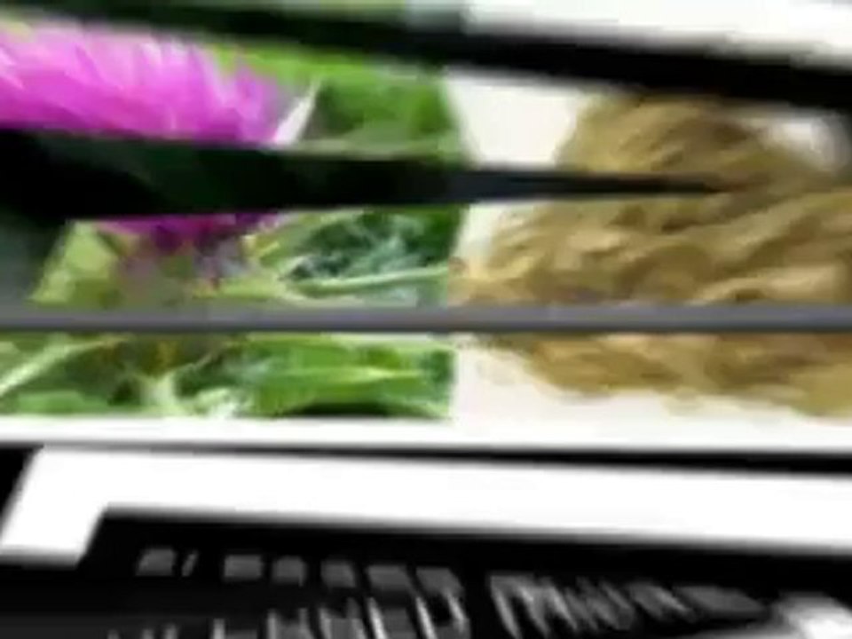 Breast Herbs
