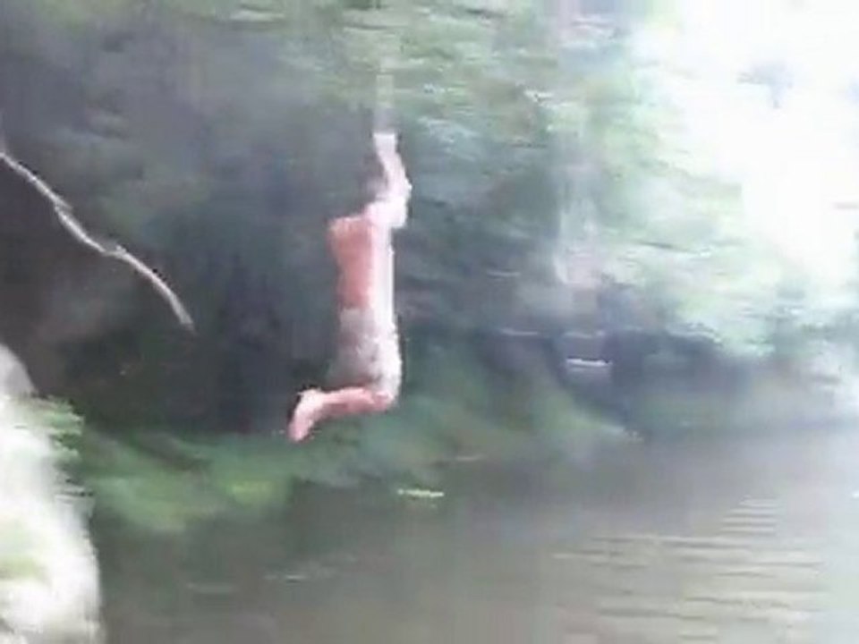 Georges de la jungle à la Réunion