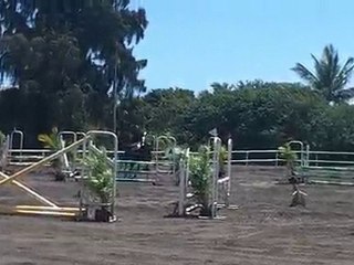 03.10.10 - club 2 vitesse - Céline Olbie