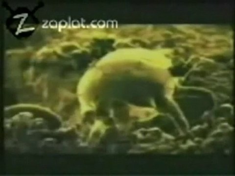 MİTE - Fidas Yatak Dezenfeksiyonu