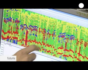 La disparition massive des abeilles dans le monde...