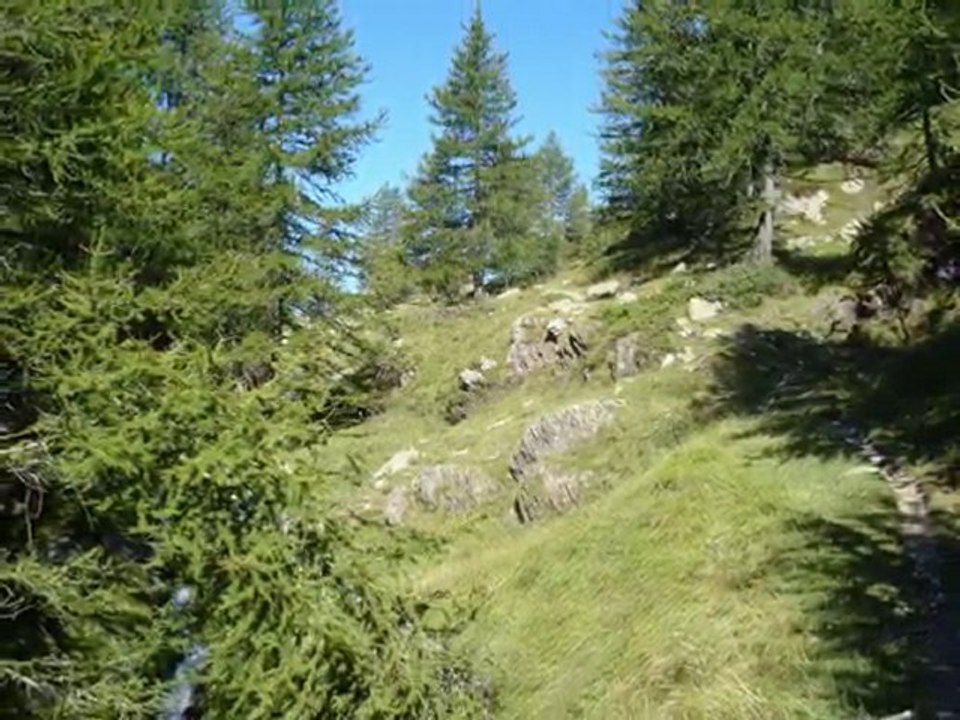 Vars-Nice