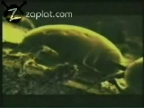 MİTE - Fidas Yatak Dezenfeksiyonu