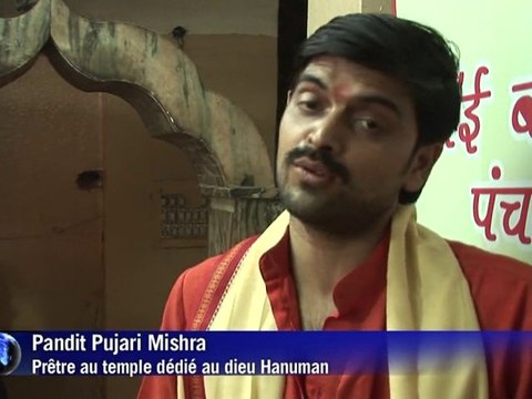 Inde: des singes en renfort pour le maintien de l'ordre des jeux du Commonwealth