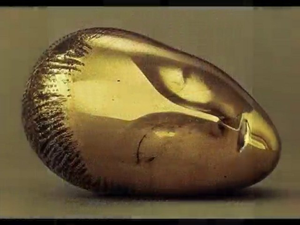 brancusi constantin