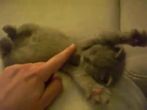 Чудовище.. (реальне Ъсурово) (!)НЕ ДЛЯ СЛАБОНЕРВНЫХ!