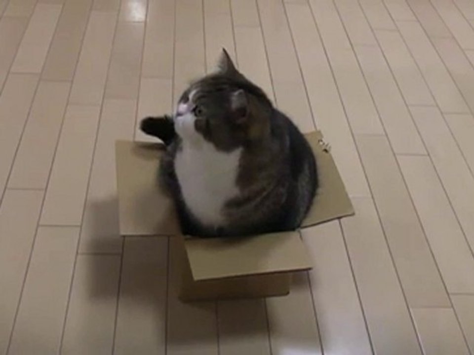-Too small box and Maru.-