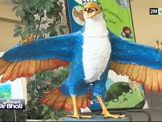 دير بحالي : الجمعة 8 أكتوبر