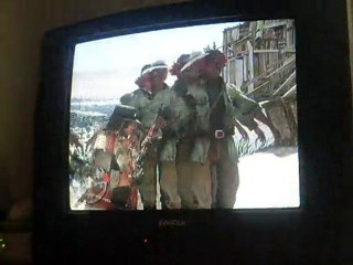 bug red dead redemption