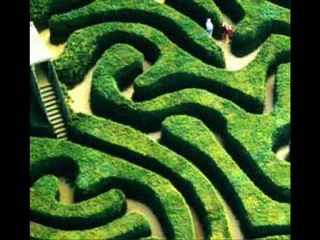 Calle 13 - No hay nadie como tu