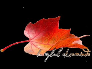 Gitarcı-bu eylül akşamında