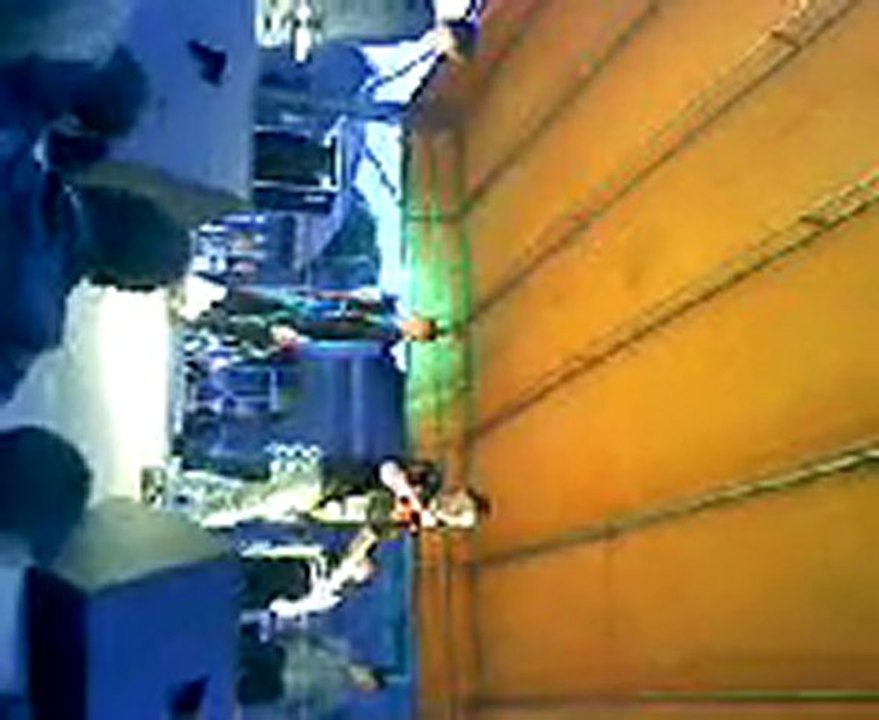 concert