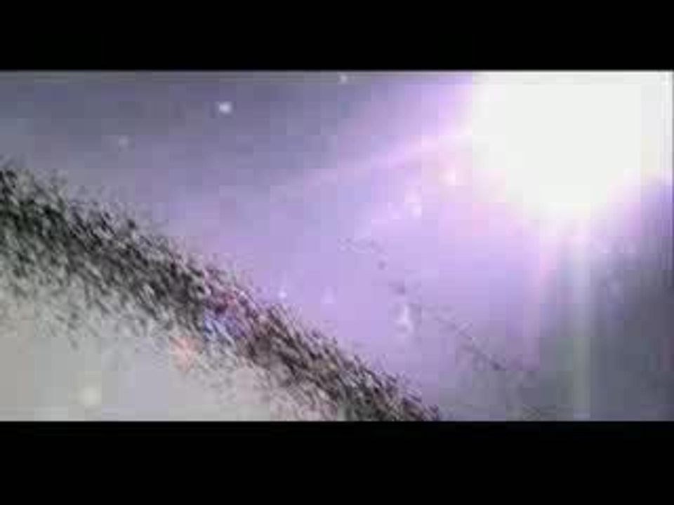 Les aventures de Tintin