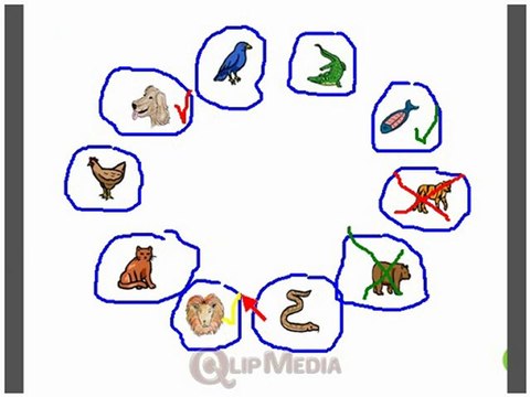 Starters Animals Interactive 45