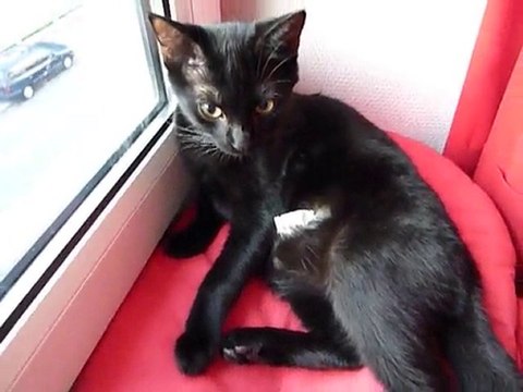 Soins post-opératoires