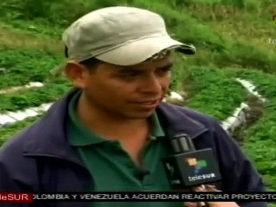Plantaciones en Honduras afectadas por lluvias