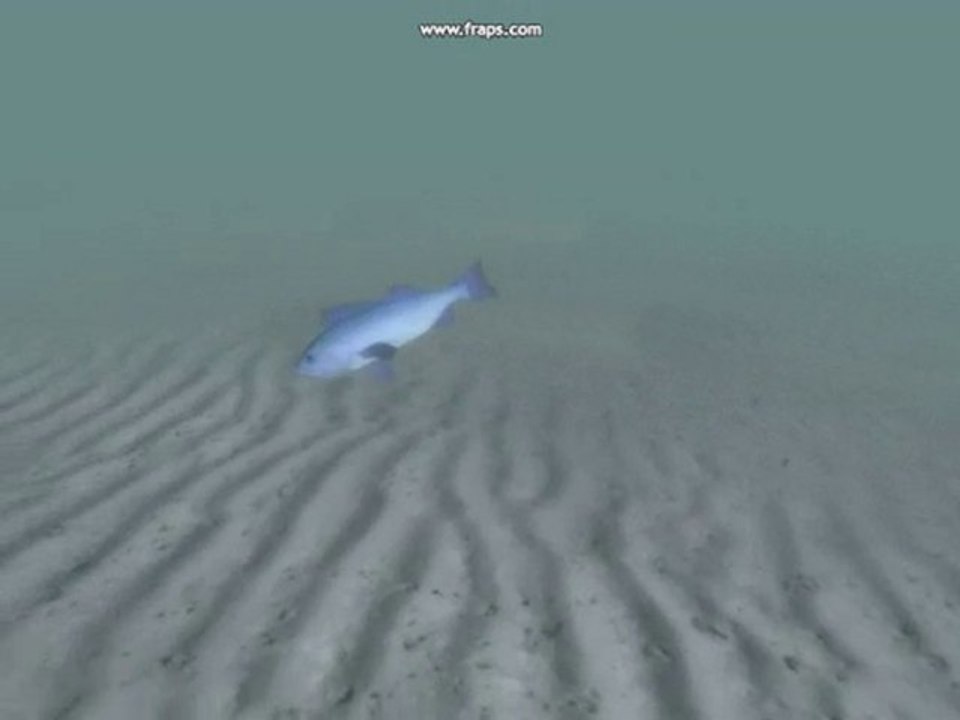 Un poisson
