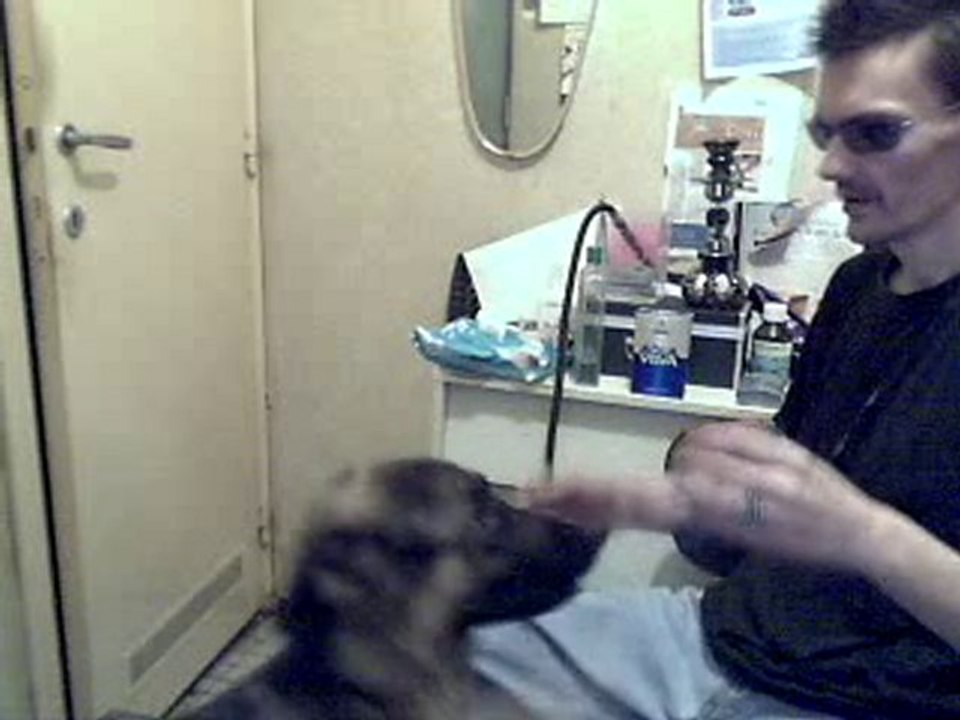 joharno vole le chien du voisin qui joue a dofus