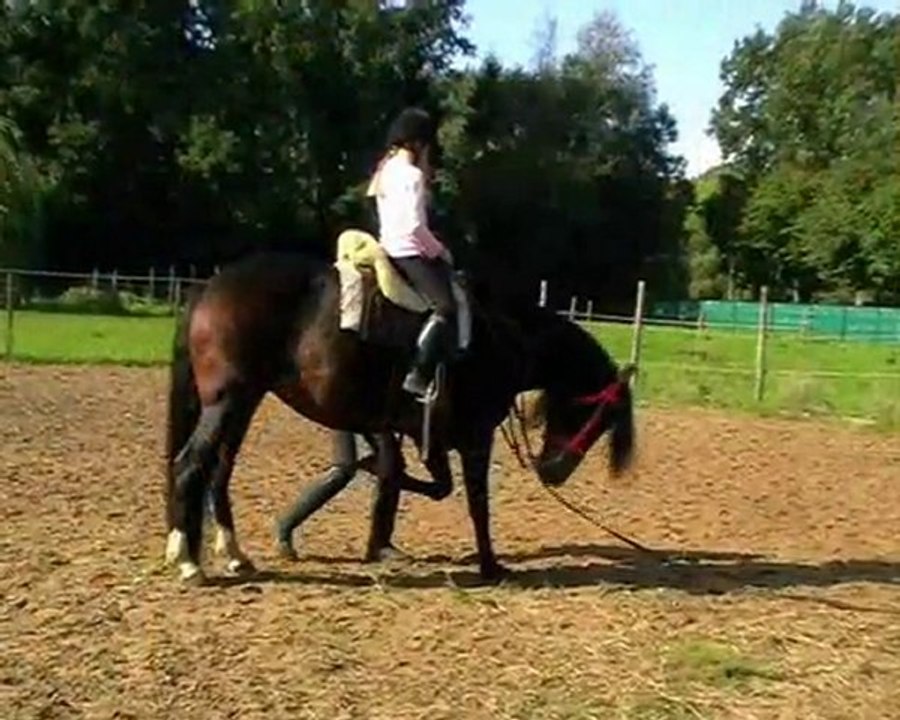 bolero, paco, shana and pilasha