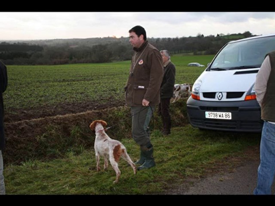 Anisette Championne d'Automne