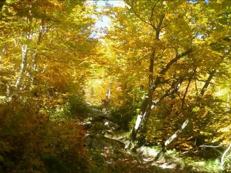 montage haute savoie