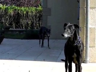 Anton dans le jardin2