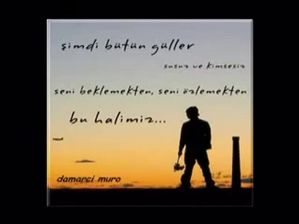 Ã–ZEL_DAMAR_SARKILAR-_ADAM_SANMISTIM