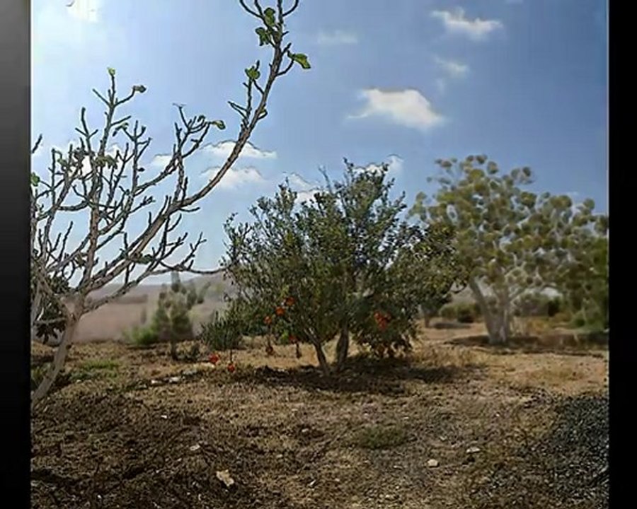 Reportaje (Fuerteventura)